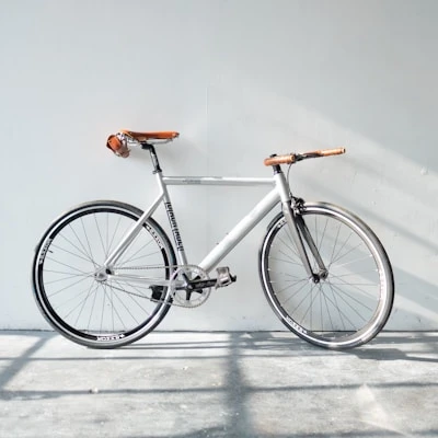 Folding Electric Bike